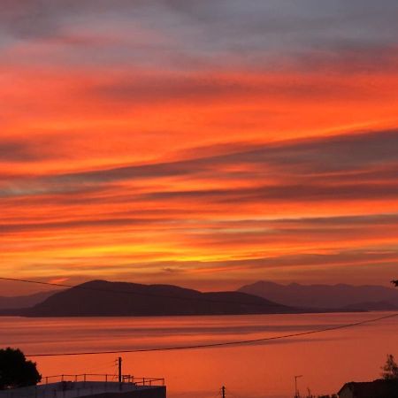 فيلا Breathtaking Seaview House Aegina المظهر الخارجي الصورة