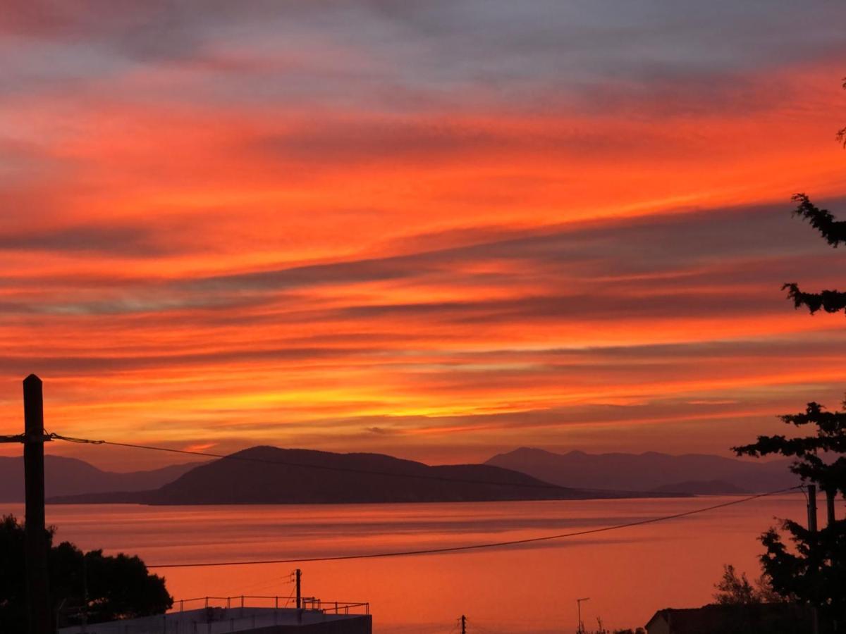 فيلا Breathtaking Seaview House Aegina المظهر الخارجي الصورة